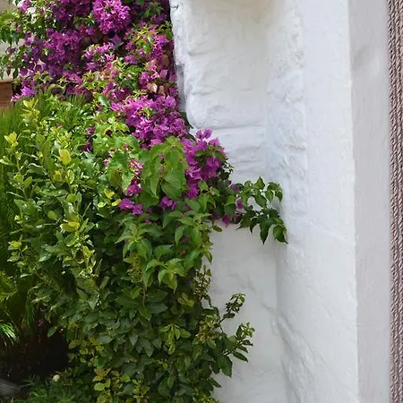 Trulli Aia Piccola 度假居 阿尔贝罗贝洛