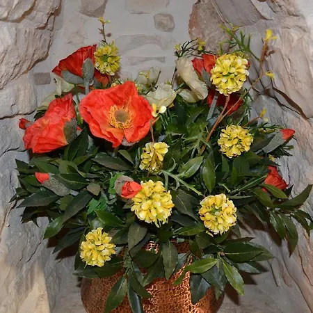 بيت للعطل Trulli Aia Piccola ألبيروبيللو